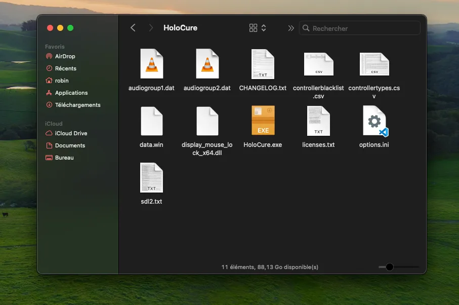 Holocure files